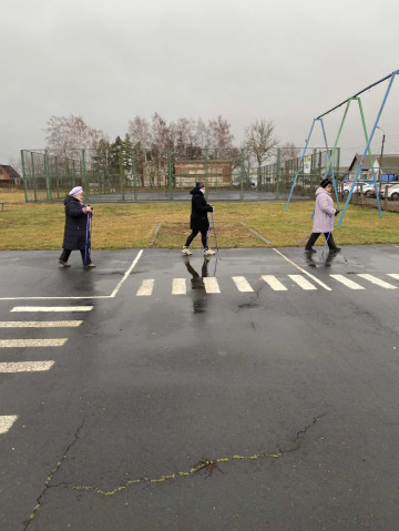 Занятие по скандинавской хотьбе
