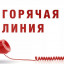 Горячая линия по вопросу бесплатной доставки продуктов питания и лекарственных средств
